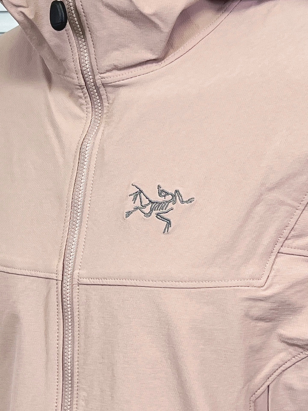 Arc'teryx Gamma Hoody Men's Softshell Jacket – Pink | Outdoor & Everyday Wear